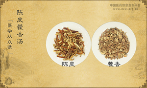 陈皮藿香汤