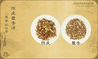 陈皮藿香汤