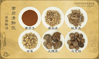 葶苈清肺饮