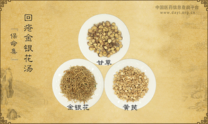 回疮金银花汤