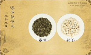 浮萍茯苓丸