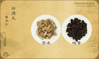 合德丸《普济方》