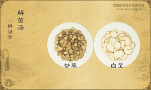 解菌汤