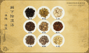解下除湿汤
