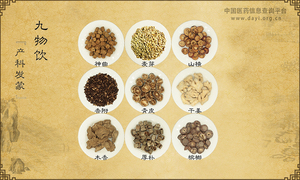 九物饮