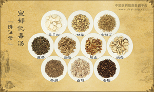 宣郁化毒汤