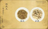 槐壳丸
