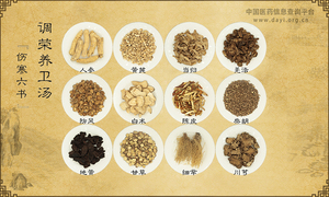 调荣养卫汤《伤寒六书》