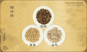 缩汗煎《仙拈集》