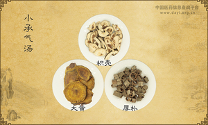 小承气汤