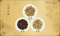 小鸟沉汤