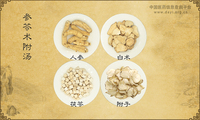 参苓术附汤