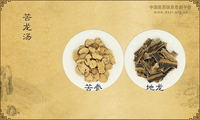 苦龙汤