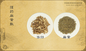 搐药麻黄散