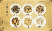 进食平胃丸