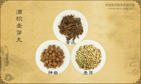 酒积麦芽丸