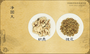 净固丸