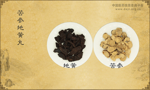 苦参地黄丸