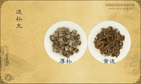 连朴丸