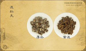 连朴丸