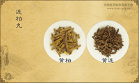连柏丸