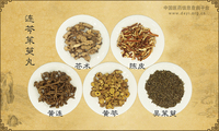 连芩茱萸丸
