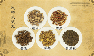 连芩茱萸丸