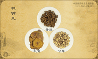 林钟丸