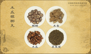 木瓜槟榔丸