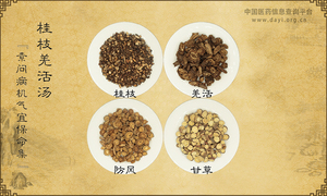 桂枝羌活汤