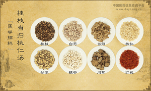 桂枝当归桃仁汤