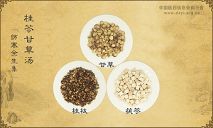 桂苓甘草汤