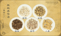 桂枝参苓汤