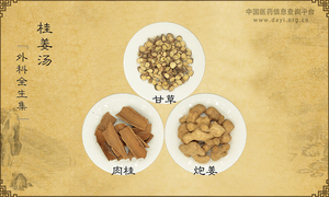 桂姜汤