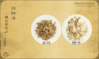 归附汤
