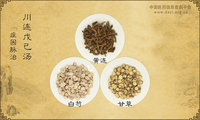 川连戊己汤