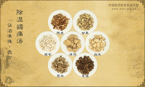 除湿蠲痛汤