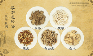 导滞通经汤