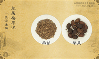 草果柴平汤
