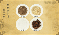 柴胡桃仁汤