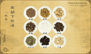 柴胡下热汤