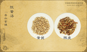 陈黄汤