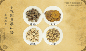 承气泻胃厚朴汤