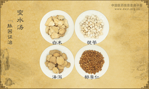 变水汤
