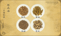 苍术汤