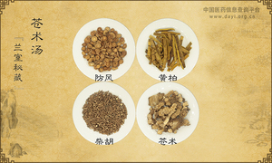 苍术汤
