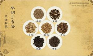 柴胡丁香汤