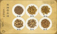 柴独苍术汤