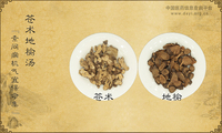 苍术地榆汤