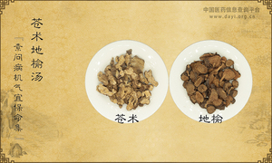 苍术地榆汤